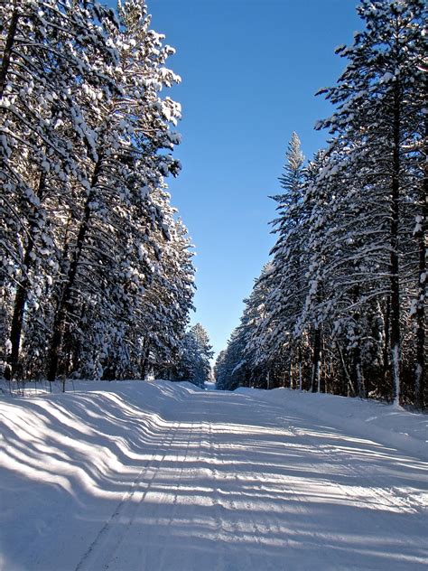 Bill's Magical Mystery Tour...: A Real Northern Minnesota Winter