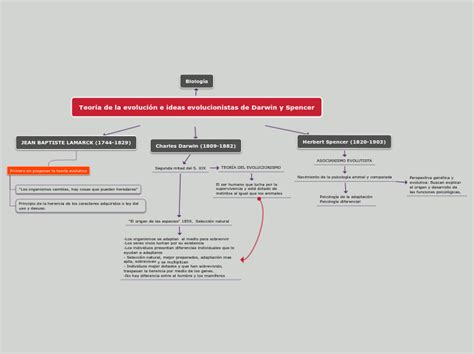 Teor A De La Evoluci N E Ideas Evolucionistas De Darwin Y Spencer