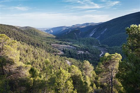 La Reserva de la Biosfera del Alto Turia centrará la I Universidad de