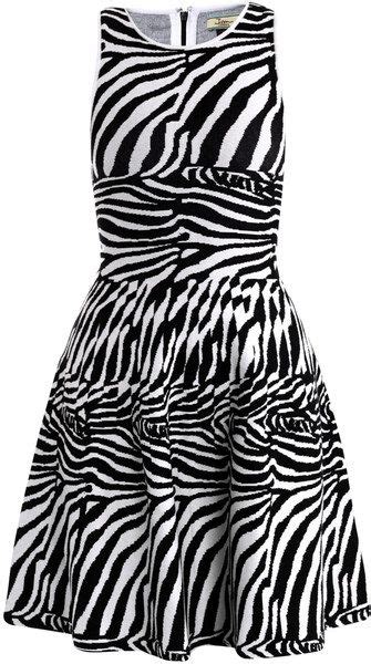 25 Best Zebra outfits images | Zebra print, Outfits, Fashion