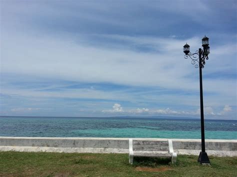 Swim With Oslob Cebu Whale Sharks WhaleSharks Cebu Whale Shark