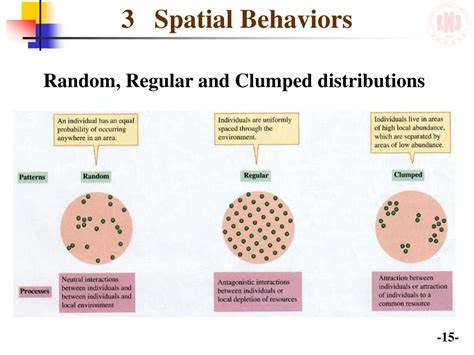 PPT 3 4 Intraspecific Relationship PowerPoint Presentation Free