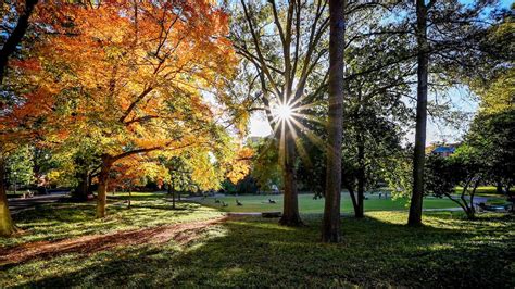 Fall Foliage Outlook 2022: When the Leaves Will Change in North ...