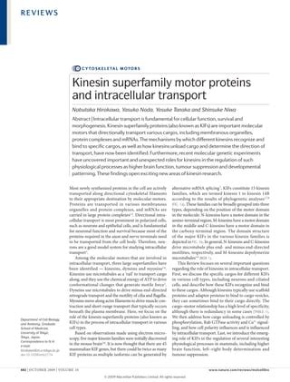 Kinesin PDF