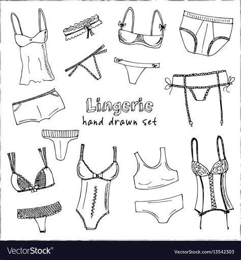 Collection Of Lingerie Panty And Bra Set Vector Image