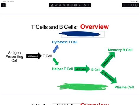 Quiz 3 Exam 4 BIO 227 Flashcards Quizlet