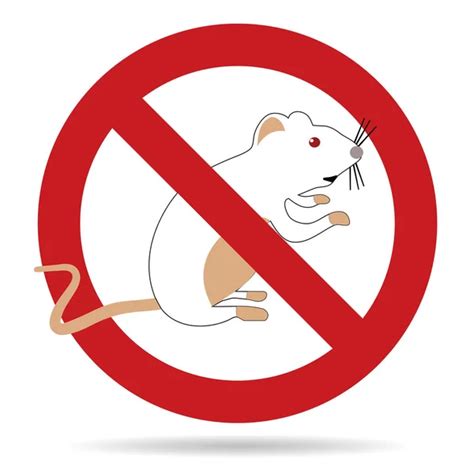 Pet Food Is Not Allowed Vector Art Stock Images Depositphotos