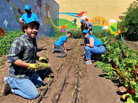 Volunteering at Dig Deep Farms - Alameda Health System