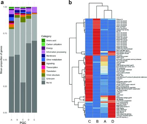 Functional Predictions Of Pgcs A Functional Categories For Genes