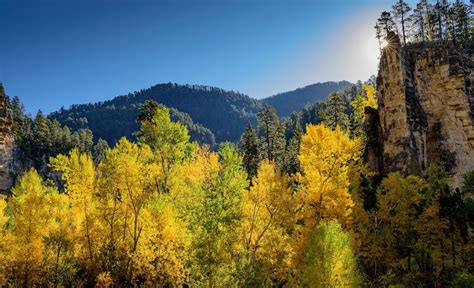 Fall Colors Viewing Guide | Travel South Dakota