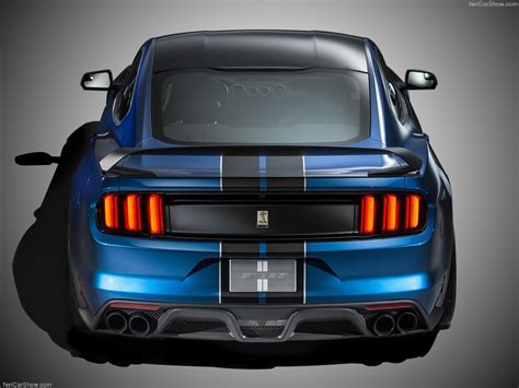 Ford Mustang Shelby Gt R Picture Of X