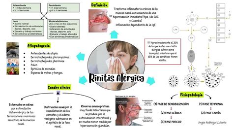 Rinitis alérgica Mapa Conceptual uDocz