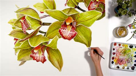 How to paint a colorful watercolor Orchid - Nature Studio