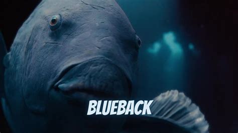 Blueback Trailer 2023 Official Trailer Upcoming Movie Trailer