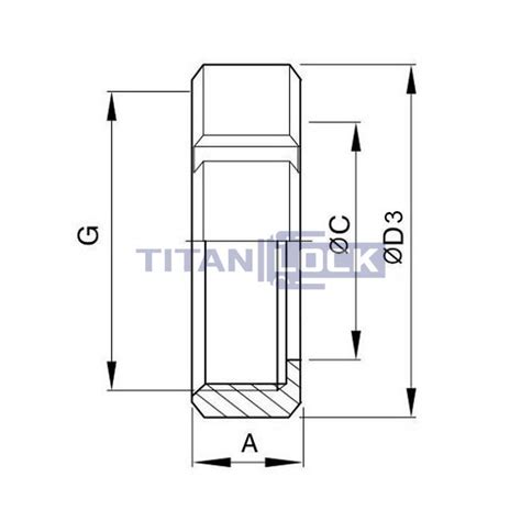 Молочная гайка по стандарту DIN 11851 DN40 нерж. 304 TL40NUTS TITAN LOCK