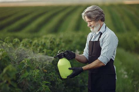 Cómo Hacer Un Insecticida Casero Con Ajo Para Eliminar 50 Off