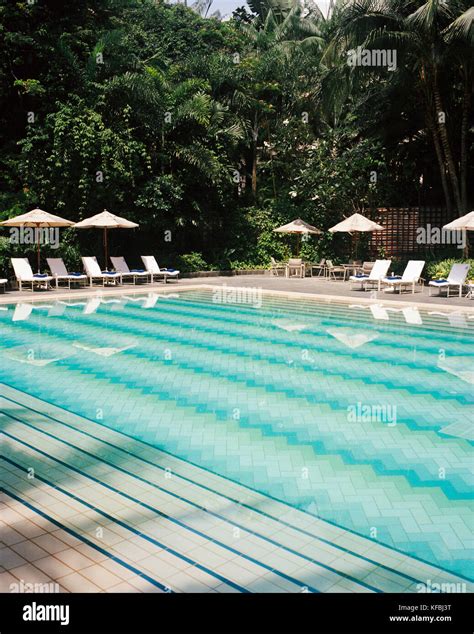 SINGAPORE, Ritz Carlton Hotel, swimming pool with lounge chair in Ritz ...