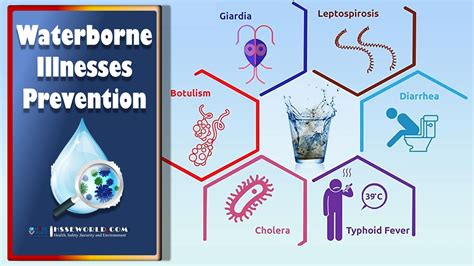 Waterborne Illnesses PreventionHSSE WORLD