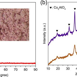 XRD Patterns Of A CoAl LDH B CoAl CLDH 300 And CoAl CLDH 500