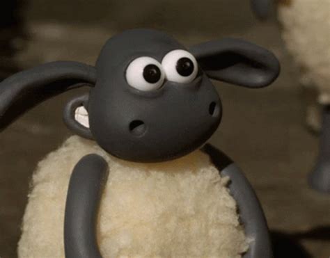 Shaun The Sheep GIFs | Tenor