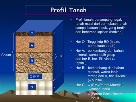 Gambar Profil Tanah 48 Koleksi Gambar