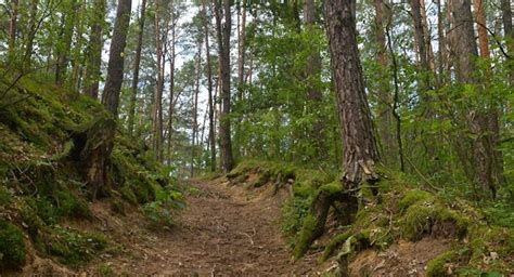 Kampinoski Park Narodowy Blog Kampinos Na Ikampinos Pl