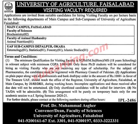 University of Agriculture Faisalabad Jobs 2021 for Visiting Faculty at ...