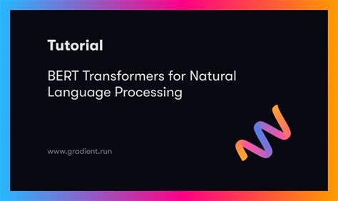 BERT Transformers for Natural Language Processing