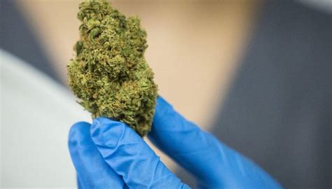 Could Illinois weed prices drop if the DEA reclassifies marijuana? : r ...