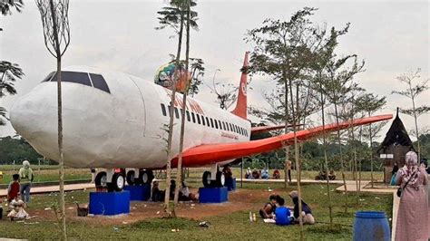 Viral Pesawat Di Tengah Sawah Di Subang Ternyata Cuma Replika Dan Ini