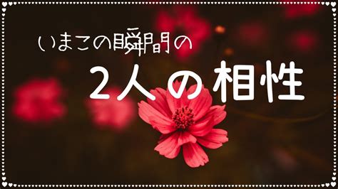 あなたとお相手、今この瞬間のお二人の相性🎀タロット＆オラクルカードリーディング🔮 Youtube