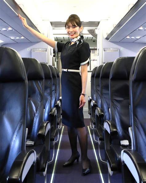 Starflyer Flight Attendant Salary And Benefits Cabin Crew Hq