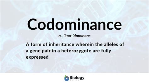 Codominance - Definition and Examples - Biology Online Dictionary