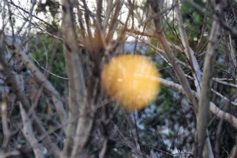 Seeing Orbs With The Naked Eye HubPages