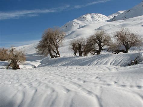 عکس طبیعت زمستانی؛‌ تصاویری زیبا از طبیعت در زمستان ستاره