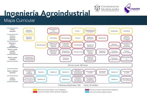 PDF Mapa Curricular Inicio Mapa Curricular Primer Semestre Primer