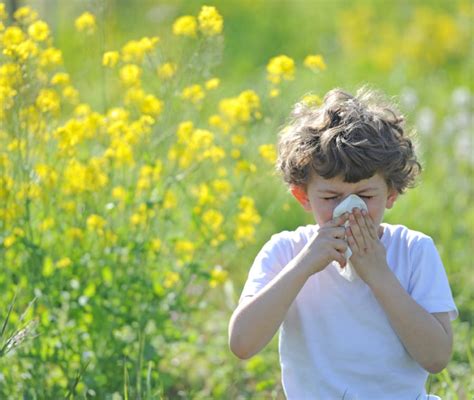 Punture Acari Bambini Come Sono Nostrofiglio It