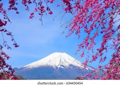 Hana No Miyako Park Photos And Images Shutterstock