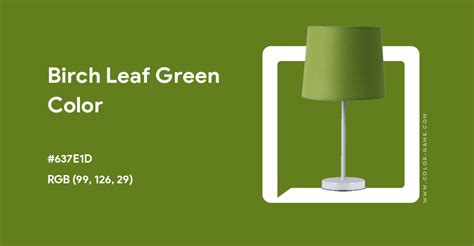 Birch Leaf Green color hex code is #637E1D