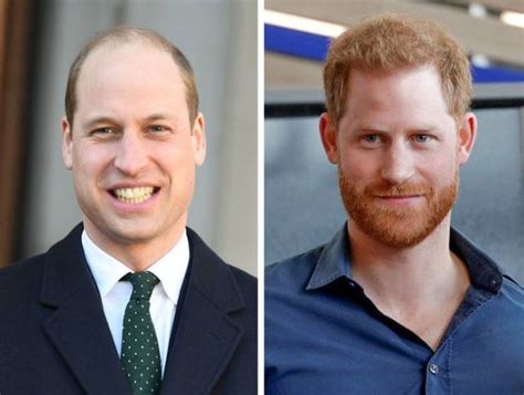 Celebrities That Have Some Pretty Hot Siblings Barnorama