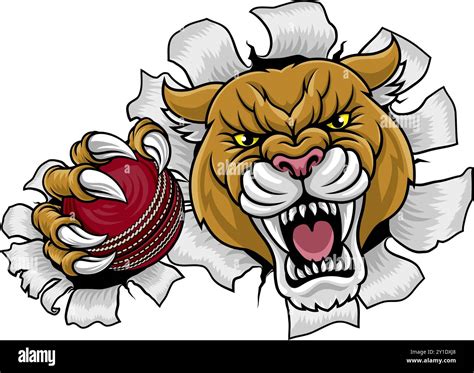 Cougar Panther Mountain Lion Puma Cricket Mascot Stock Vector Image