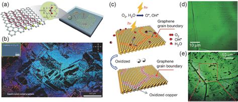 Visualizing Graphene Grain Boundaries By Optical Microscopy A Download Scientific Diagram