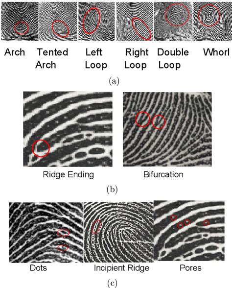 Partial Fingerprint Matching