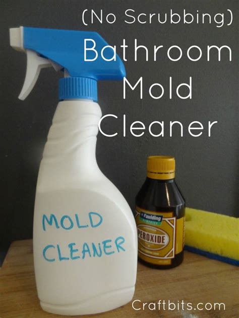 Bathroom Mold Cleaner — CraftBits.com