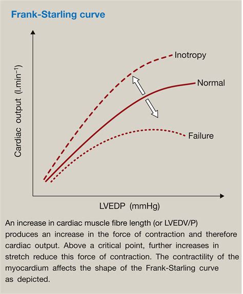 Curva De Frank Starling Braincp