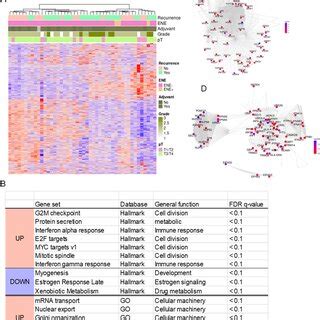 Transcriptional profiling to predict prognosis of ACC patients. (A ... 