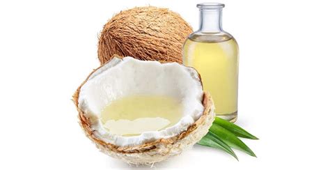 Manfaat Virgin Coconut Oil Vco Bagi Kesehatan