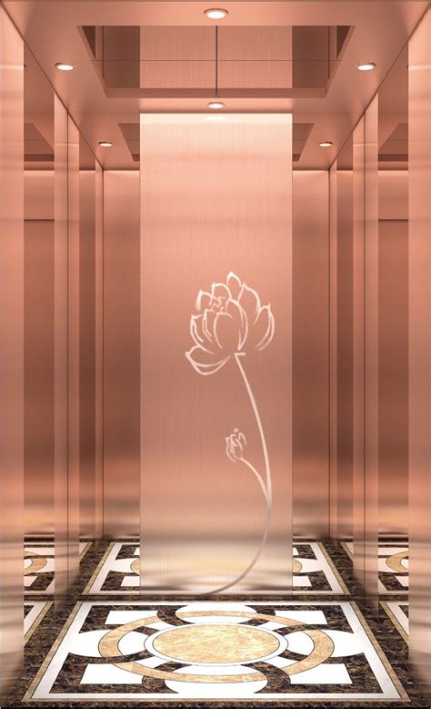 Fujixun Rose Golden Home Passager Elevator For Machine Roomless China