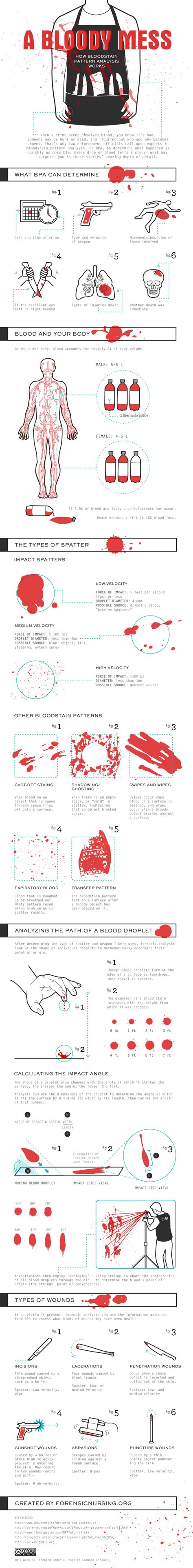 How Blood Stain Pattern Analysis Works (Infographic) | The Lowdown