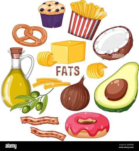 Variety Of Fat Foods Illustration Stock Vector Image Art Alamy